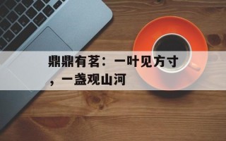 鼎鼎有茗：一叶见方寸，一盏观山河