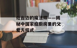 灶台边的魔法师——揭秘中国家庭厨房里的父爱方程式
