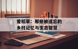 爱稻草：那些被遗忘的乡村记忆与生态智慧