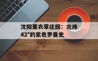 沈阳薰衣草庄园：北纬42°的紫色罗曼史