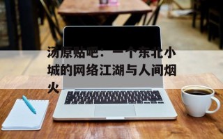 汤原贴吧：一个东北小城的网络江湖与人间烟火