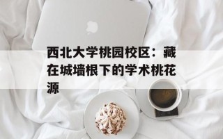 西北大学桃园校区：藏在城墙根下的学术桃花源