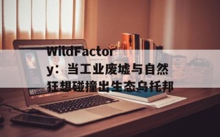 WildFactory：当工业废墟与自然狂想碰撞出生态乌托邦