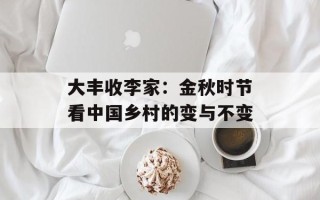 大丰收李家：金秋时节看中国乡村的变与不变