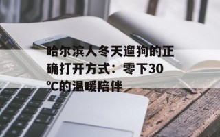 哈尔滨人冬天遛狗的正确打开方式：零下30℃的温暖陪伴