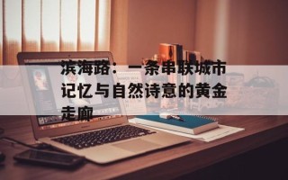滨海路：一条串联城市记忆与自然诗意的黄金走廊
