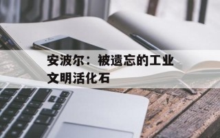 安波尔：被遗忘的工业文明活化石