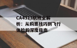 CA4313航班全解析：从购票技巧到飞行体验的深度指南