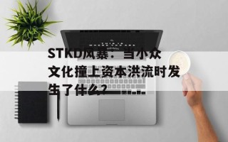 STKD风暴：当小众文化撞上资本洪流时发生了什么？