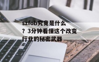 szfob究竟是什么？3分钟看懂这个改变行业的秘密武器