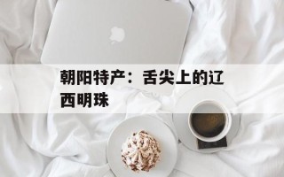 朝阳特产：舌尖上的辽西明珠