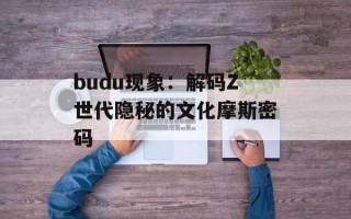budu现象：解码Z世代隐秘的文化摩斯密码
