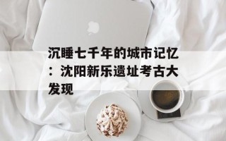 沉睡七千年的城市记忆：沈阳新乐遗址考古大发现