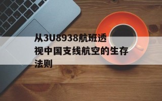 从3U8938航班透视中国支线航空的生存法则