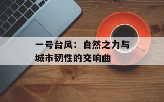 一号台风：自然之力与城市韧性的交响曲