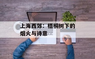 上海西郊：梧桐树下的烟火与诗意