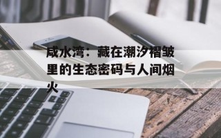 咸水湾：藏在潮汐褶皱里的生态密码与人间烟火