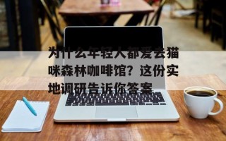 为什么年轻人都爱去猫咪森林咖啡馆？这份实地调研告诉你答案