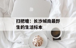 扫把塘：长沙城南最野生的生活标本