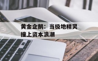 黄金企鹅：当极地精灵撞上资本浪潮