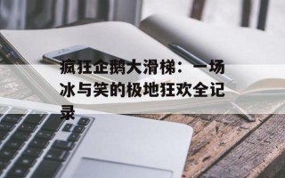 疯狂企鹅大滑梯：一场冰与笑的极地狂欢全记录