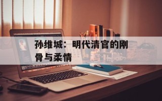 孙维城：明代清官的刚骨与柔情