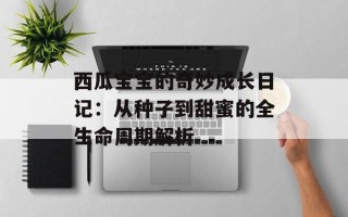 西瓜宝宝的奇妙成长日记：从种子到甜蜜的全生命周期解析