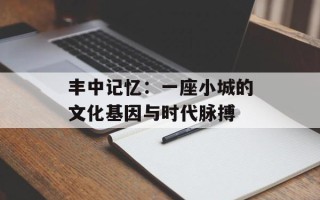 丰中记忆：一座小城的文化基因与时代脉搏