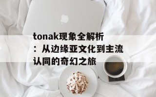 tonak现象全解析：从边缘亚文化到主流认同的奇幻之旅