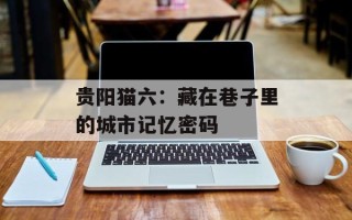 贵阳猫六：藏在巷子里的城市记忆密码
