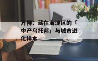 万柳：藏在海淀区的「中产乌托邦」与城市进化样本