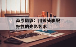 莽原摄影：用镜头驯服野性的光影艺术
