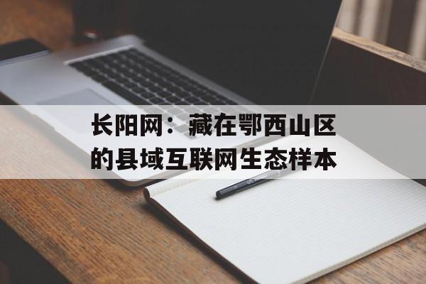 长阳网：藏在鄂西山区的县域互联网生态样本-第1张图片-
