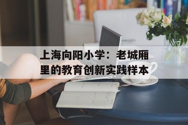 上海向阳小学：老城厢里的教育创新实践样本-第1张图片-