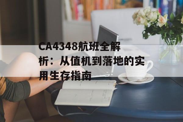 CA4348航班全解析：从值机到落地的实用生存指南-第1张图片-