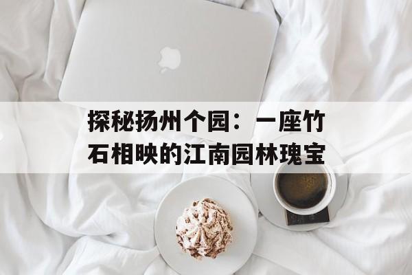 探秘扬州个园：一座竹石相映的江南园林瑰宝-第1张图片-