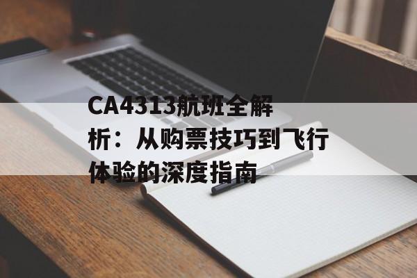 CA4313航班全解析：从购票技巧到飞行体验的深度指南-第1张图片-