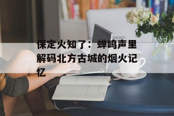 保定火知了：蝉鸣声里解码北方古城的烟火记忆-第1张图片-