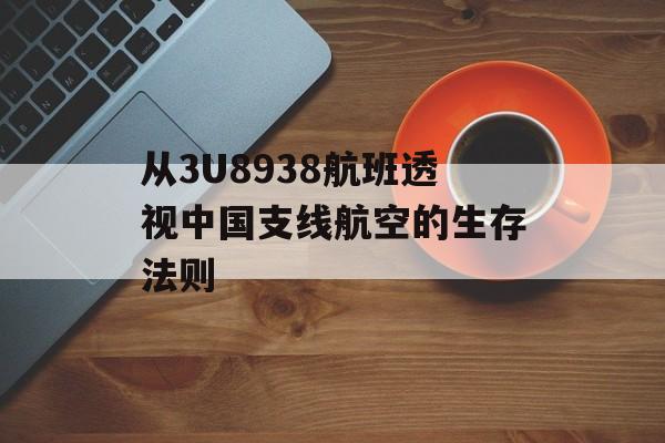 从3U8938航班透视中国支线航空的生存法则-第1张图片-